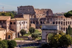 Rooma: Colosseum, Forum ja Palatine Hill Yksityinen opastettu kierros