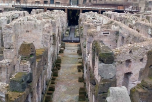 Roma: Colosseum, Forum og Palatinerhøyden med lydguide-app