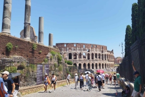 Roma: Colosseum, Forum og Palatinerhøyden med lydguide-app