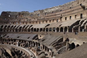 Roma: Colosseum, Forum og Palatinerhøyden med lydguide-app