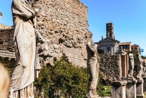 Rom: Guidet tur til Colosseums Arena, Palatinerhøjen og Forum