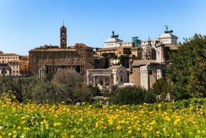 Rom: Guidet tur til Colosseums Arena, Palatinerhøjen og Forum