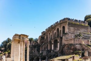 Rom: Guidet tur til Colosseums Arena, Palatinerhøjen og Forum