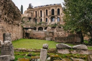 Rooma: Colosseum, Forum ja Palatine-kierros + valinnainen areenan lattia