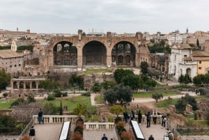 Rooma: Colosseum, Forum ja Palatine-kierros + valinnainen areenan lattia