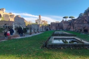 Rooma: Colosseumin täydellinen areenakokemus – opastettu kierros