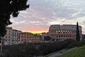 Rooma: Colosseumin täydellinen areenakokemus – opastettu kierros