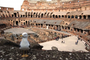 Rome: Colosseum Full Experience Underground Tour