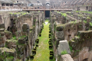 ローマ：コロッセオのガイド付きツアー（アリーナ階のみアクセス）