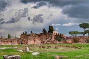 Rome: Colosseum, Palatine Hill, and Roman Forum Tour