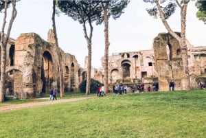 Rome: Colosseum, Palatine Hill, and Roman Forum Tour