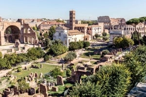 Roma: Colosseum, Palatinerhøyden og Forum Romanum - guidet tur