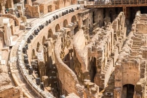 Roma: Colosseum, Palatinerhøyden og Forum Romanum - guidet tur