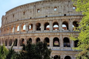 Roma: Colosseum, Palatinerhøyden og Forum Romanum - guidet tur