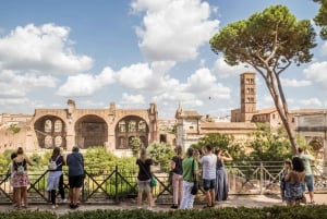 Roma: Colosseum, Palatinerhøyden og Forum Romanum - guidet tur