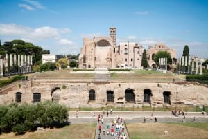 Roma: Colosseum, Palatinerhøyden og Forum Romanum - guidet tur