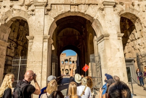 Roma: Colosseum, Palatinerhøyden og Forum Romanum - guidet tur