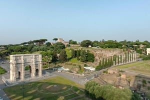Рим: Пешая экскурсия по Колизею, Палатину и Римскому форуму