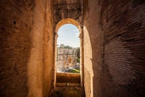 Rome: Colosseum, Palatine & Roman Forum Tour w/Entry Ticket