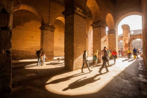 Rome: Colosseum, Palatine & Roman Forum Tour w/Entry Ticket