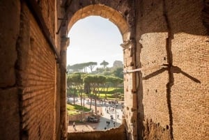 Rome: Colosseum, Palatine & Roman Forum Tour w/Entry Ticket