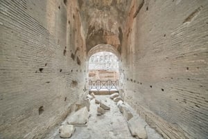 Rome: Colosseum, Palatine & Roman Forum Tour w/Entry Ticket