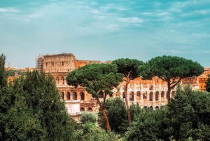 Rome: Colosseum private tour Arena Gate