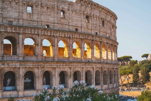 Rome: Colosseum private tour Arena Gate
