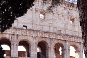Rome: Colosseum private tour Arena Gate