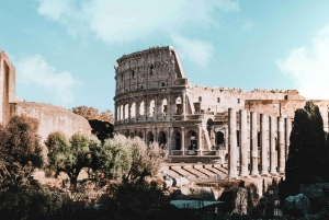 Rome: Colosseum private tour Arena Gate