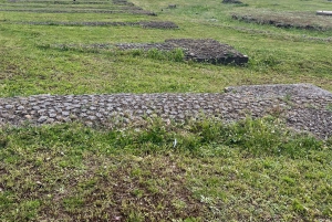 Rom: Colosseum, Forum Romanum og Palatinerhøjen Indgang