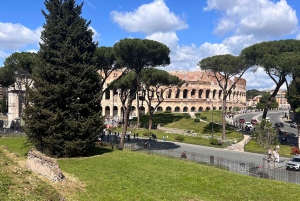 Rom: Colosseum, Forum Romanum og Palatinerhøjen Indgang