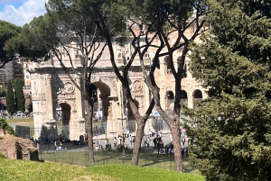 Rom: Colosseum, Forum Romanum og Palatinerhøjen Indgang
