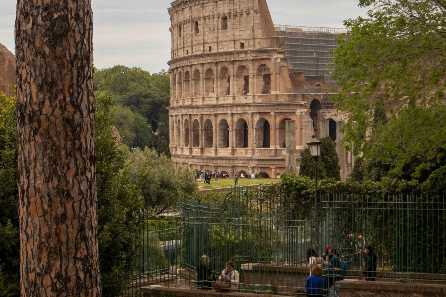 Rome: Colosseum, Roman Forum, and Palatine Hill Experience