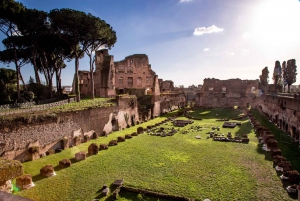 Rom: Kolosseum, Forum Romanum und Palatinhügel - geführte Tour