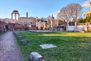 Rome: Colosseum, Roman Forum and Palatine Hill Guided Tour