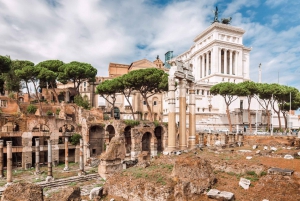 Rome: Colosseum, Roman Forum and Palatine Hill Guided Tour