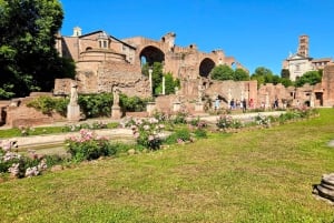 Rooma: Colosseum, Forum Romanum ja Palatine Hill Opastettu kierros.