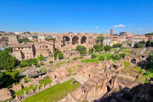 Rooma: Colosseum, Forum Romanum ja Palatine Hill Opastettu kierros.