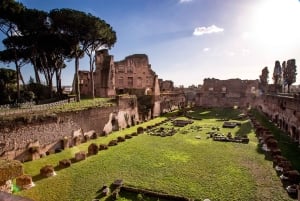 Rome : Visite guidée du Colisée, du Forum romain et de la colline Palatine