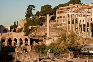Rome: Colosseum, Roman Forum and Palatine Hill Private Tour