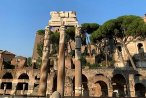 Roma: Colosseo, Foro Romano e Palatino