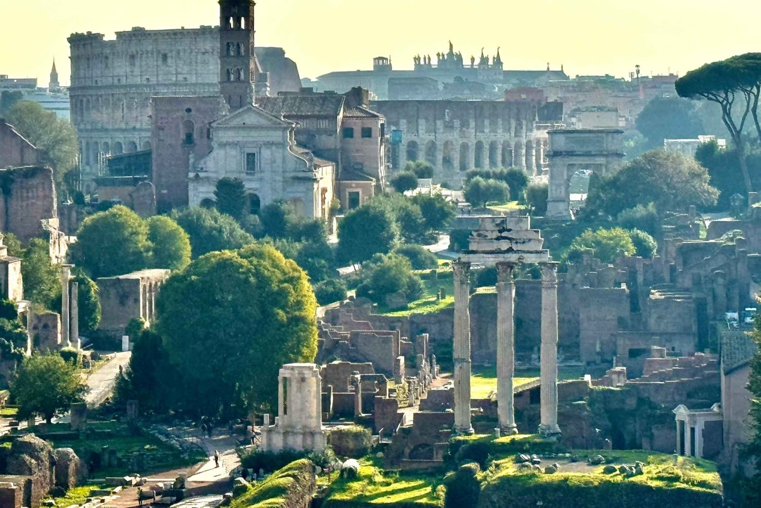 Rom: Colosseum, Forum Romanum og Palatinerhøjen-tur