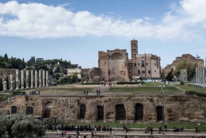 Rome : visite du Colisée, du Forum romain et du Palatin