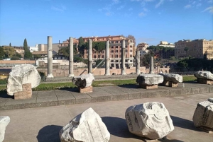 Rome : visite du Colisée, du Forum romain et du mont Palatin