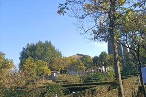 Rome : visite du Colisée, du Forum romain et du mont Palatin