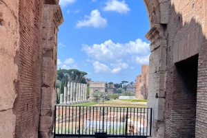 Rome : visite du Colisée, du Forum romain et du mont Palatin
