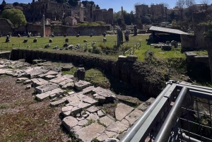 Rome : visite du Colisée, du Forum romain et du mont Palatin