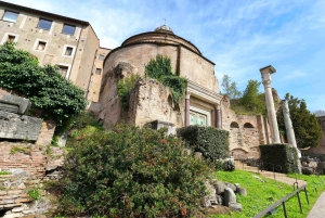 Rome: Colosseum Roman Forum and Palatine Hill Tour