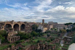 Roma: Visita guiada ao Coliseu, Fórum Romano e Palatino